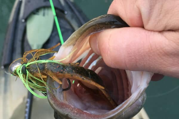 close up of bass caught on Elk River at River Ranch Resort Noel, Missouri